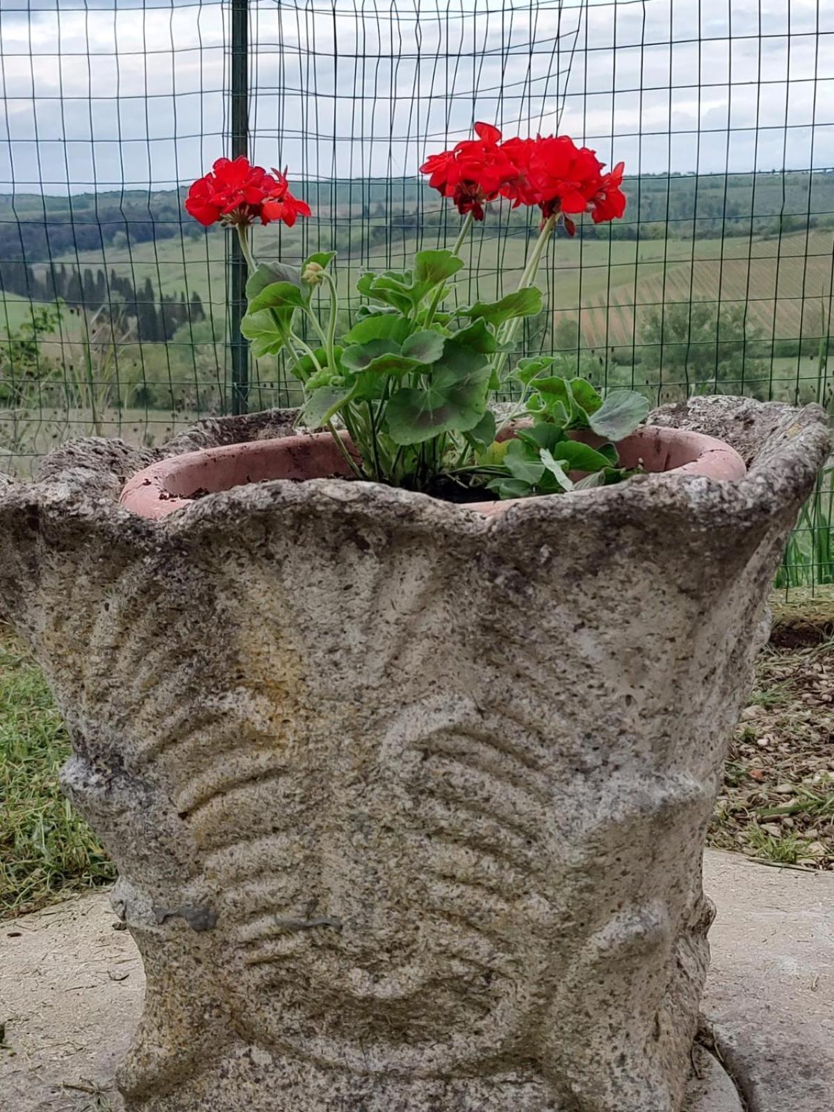 Ferienwohnung Il Giardino Del Chianti Siena Exterior foto