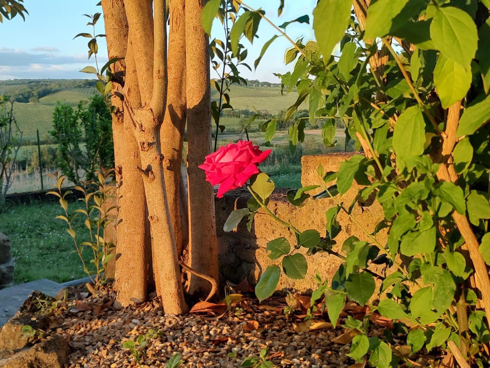 Ferienwohnung Il Giardino Del Chianti Siena Exterior foto