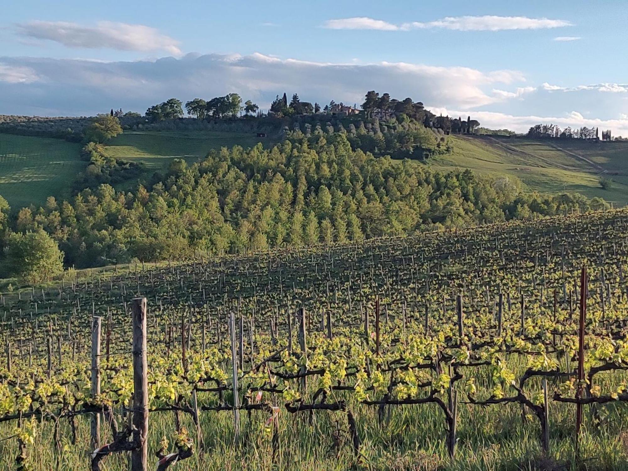 Ferienwohnung Il Giardino Del Chianti Siena Exterior foto